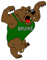 Brooke High School mascot