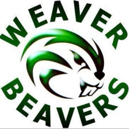 Weaver High School mascot