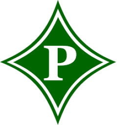 Pickens High School mascot