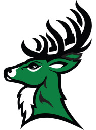 Tahanto Regional High School mascot