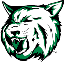 Houghton Lake High School mascot