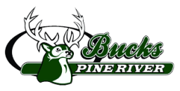 Pine River High School mascot