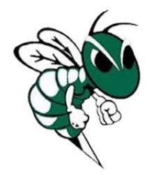 Central Montcalm Public School mascot