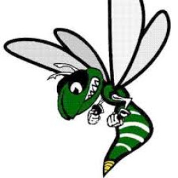 Williamston High School mascot