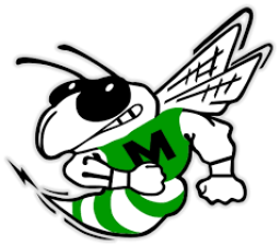 Mendon High School mascot