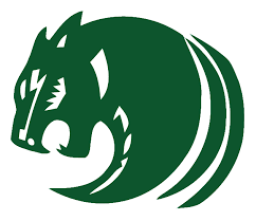 Pennfield High School mascot