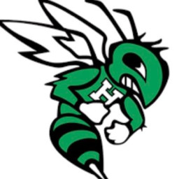 Frazee High School mascot