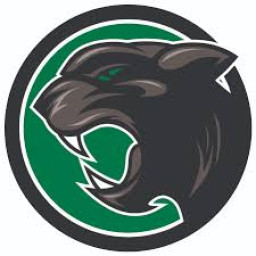 Mehlville High School mascot