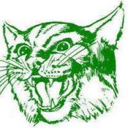 Bronaugh High School mascot