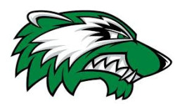 Texico High School mascot