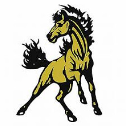 Lynchburg Clay High School mascot