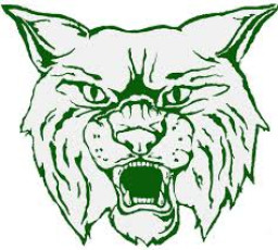 Adirondack High School mascot