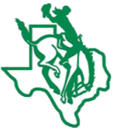 Breckenridge High School mascot