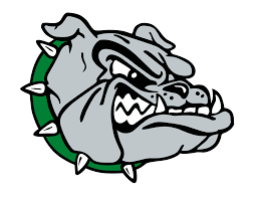 Mount Vernon High School mascot