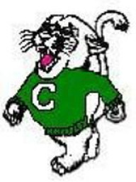 Coleman High School mascot