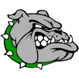 Ashville High School mascot