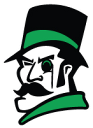 York High School mascot