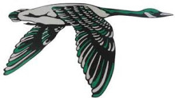 Wethersfield High School mascot