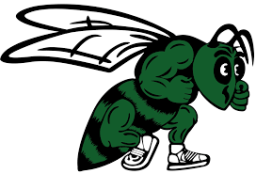 Scales Mound High School mascot