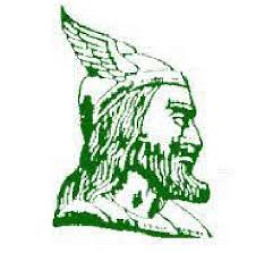 Akron Fairgrove High School mascot