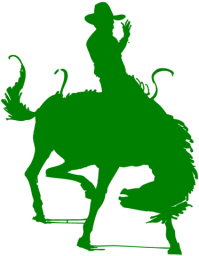 Breckenridge High School mascot