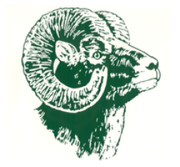 Roseau High School mascot