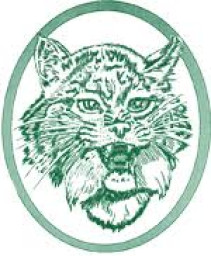 Wendover High School mascot