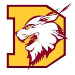 Dimond High School mascot