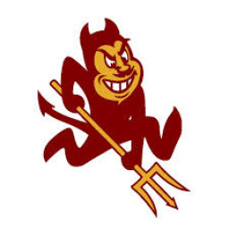 Rough Rock High School mascot