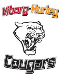 Viborg-Hurley High School mascot