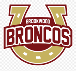 Brookwood High School mascot