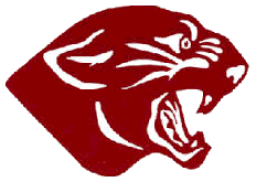 Mount Pleasant Community High School mascot