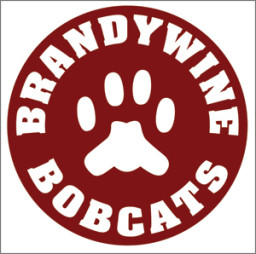 Brandywine Junior Senior High School mascot