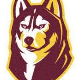 Pillager High School mascot