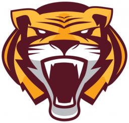 Stewartville High School mascot