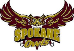 Spokane High School R7 mascot