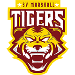 Marshall S V High School mascot