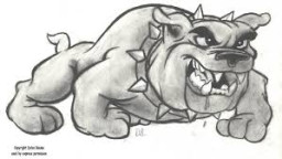 Choteau High School mascot