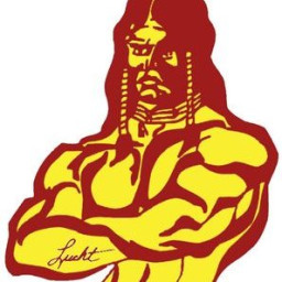 Turtle Mountain Community High School mascot