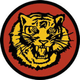 Avoca Vocational Central School mascot