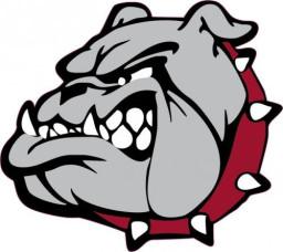 Billings High School mascot