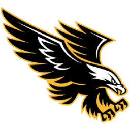 Damascus Christian School mascot