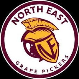 North East High School mascot