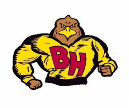 Blackville Hilda High School mascot