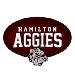 Hamilton High School mascot