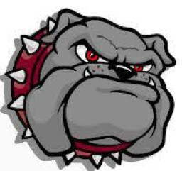 Bulkeley High School mascot