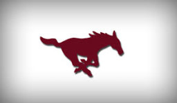 Mount Vernon High School mascot