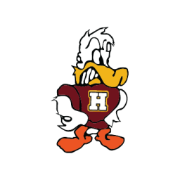 Havana High School mascot