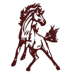 Unity High School mascot