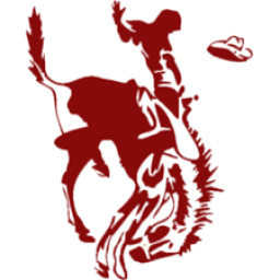 Benton High School mascot